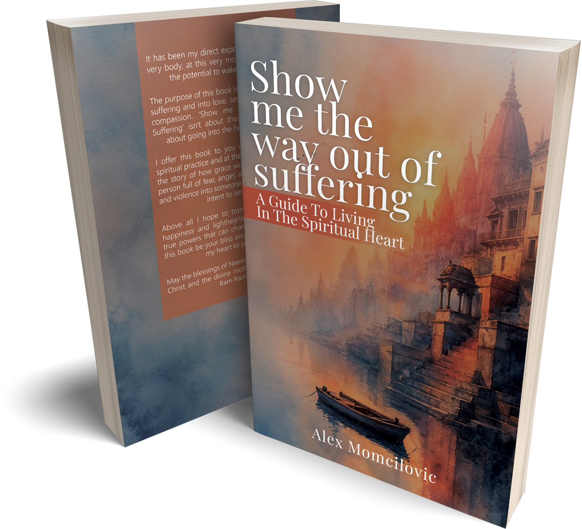 Show me the way out of suffering by Alex Momcilovic, front and back cover